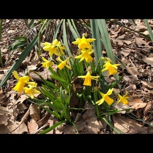 Meet your Posher, Maureen